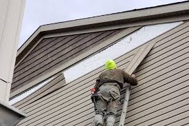 Historical Building Siding Restoration in Berryville, AR